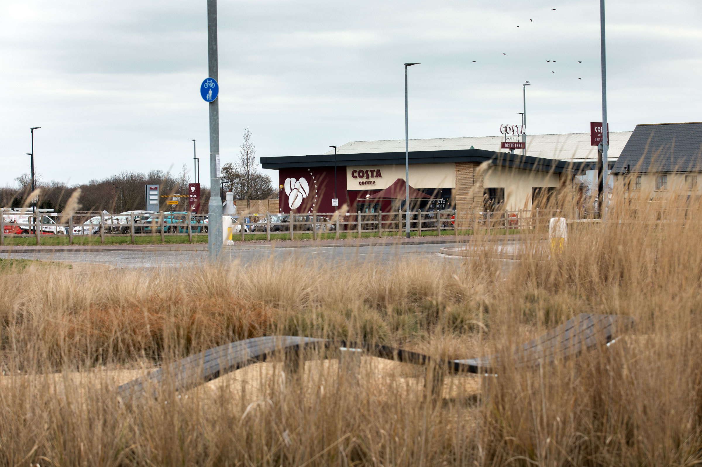 lorem ipsum dolor sit